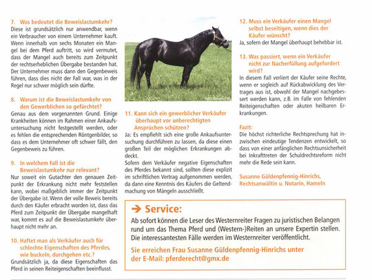westernreiter0108-3